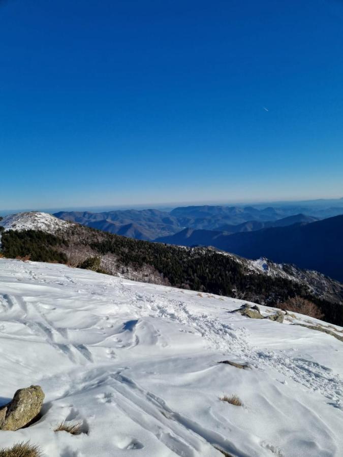 Gite D'Aigoual Valleraugue Dış mekan fotoğraf