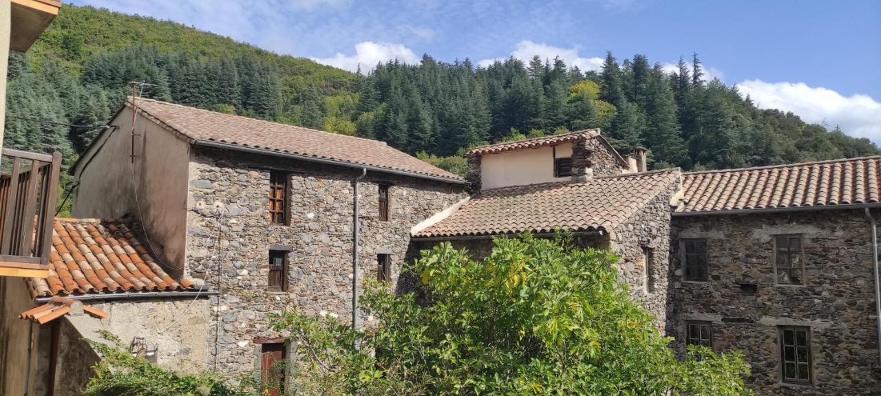 Gite D'Aigoual Valleraugue Dış mekan fotoğraf